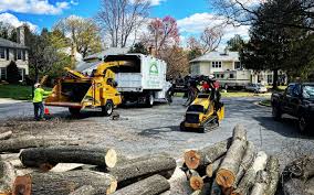 Best Tree and Shrub Care  in Gordo, AL