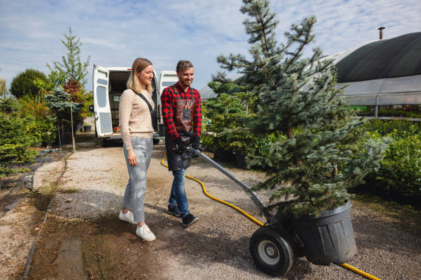 Best Tree Maintenance Programs  in Gordo, AL